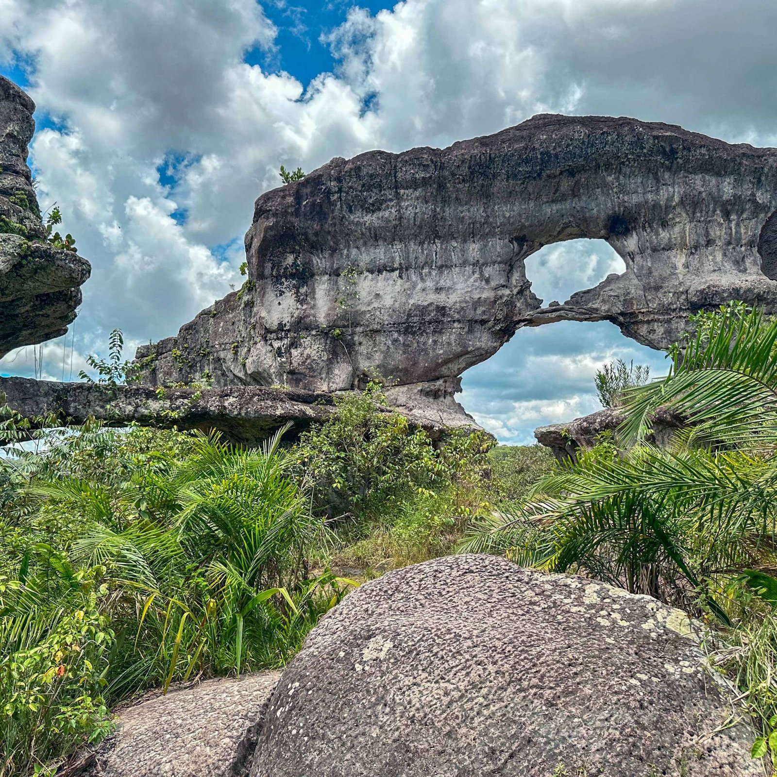 Puerta de Orión, Guaviare