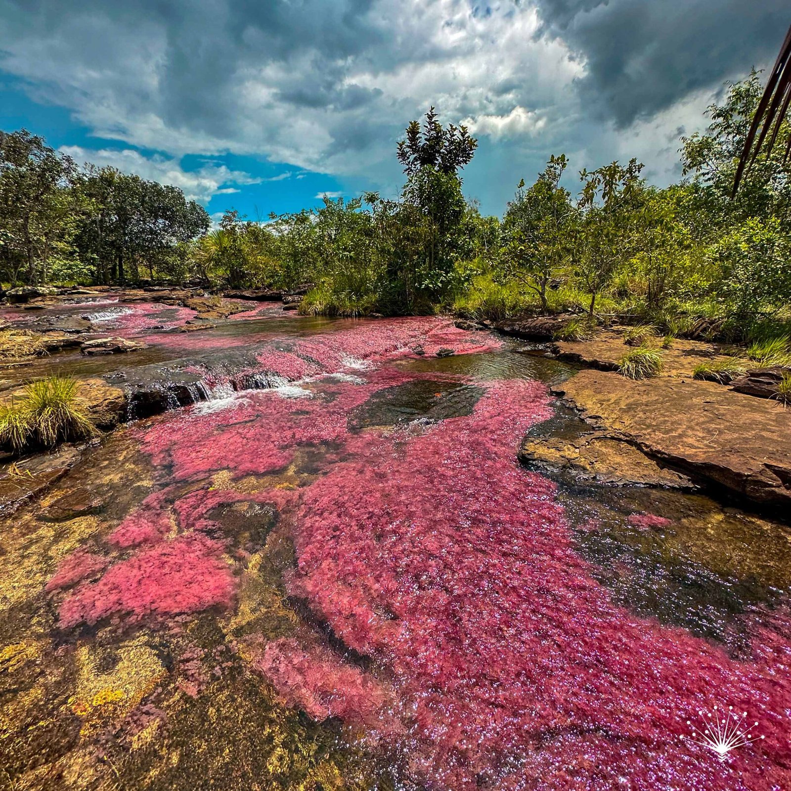 Caño de colores en el Guaviare
